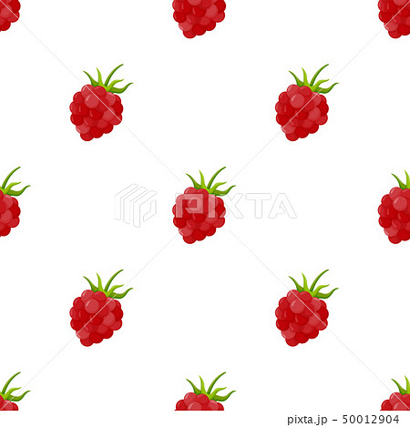 Seamless pattern with raspberry Seamless pattern with raspberry 50012904
