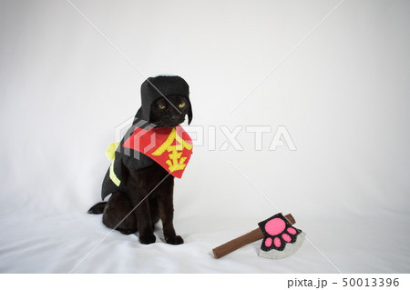 コスプレをしている黒猫の写真（金太郎） 50013396