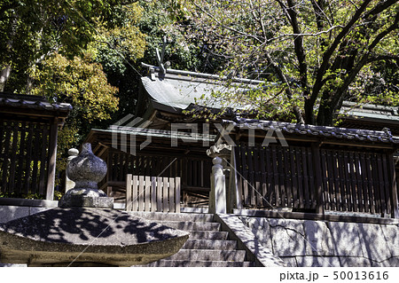 広島市東区 饒津神社 本殿 広島市東区 饒津神社 本殿 50013616