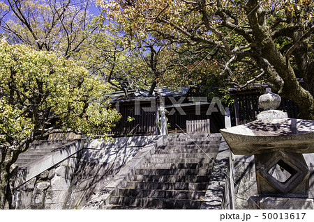 広島市東区　饒津神社　本殿 50013617