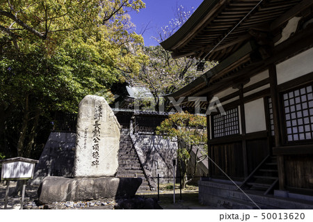 広島市東区 饒津神社 拝殿と本殿 広島市東区 饒津神社 拝殿と本殿 50013620