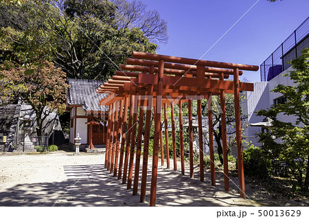 広島市東区 饒津神社 稲荷神社 広島市東区 饒津神社 稲荷神社 50013629