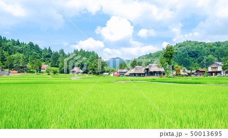 夏の農村風景 (荻ノ島環状集落) 夏の農村風景 (荻ノ島環状集落) 50013695