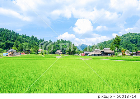 夏の農村風景 （荻ノ島環状集落） 50013714