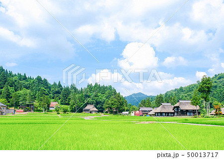 夏の農村風景 （荻ノ島環状集落） 50013717