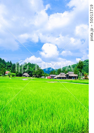 夏の農村風景 （荻ノ島環状集落） 50013719