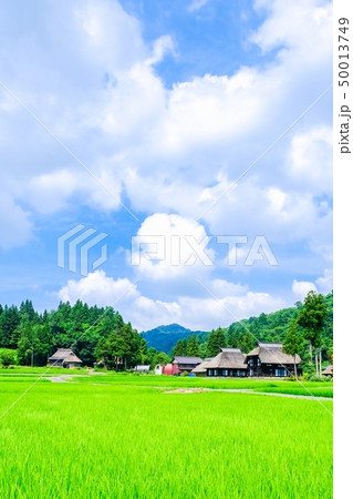 夏の農村風景 (荻ノ島環状集落) 夏の農村風景 (荻ノ島環状集落) 50013749