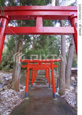 秋田県能代市の風の松原の大森稲荷神社 ３月 の写真素材
