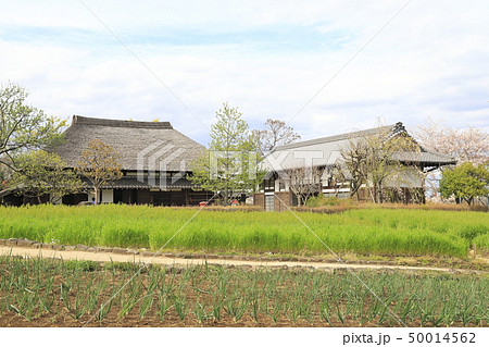 足立区都市農業公園の古民家　 50014562