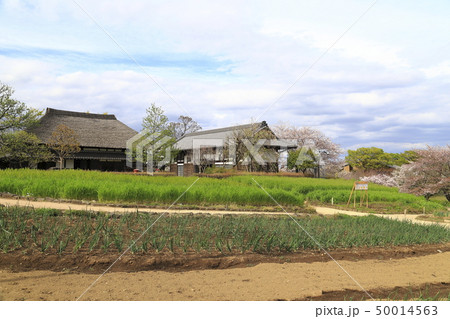 足立区都市農業公園の古民家　 50014563