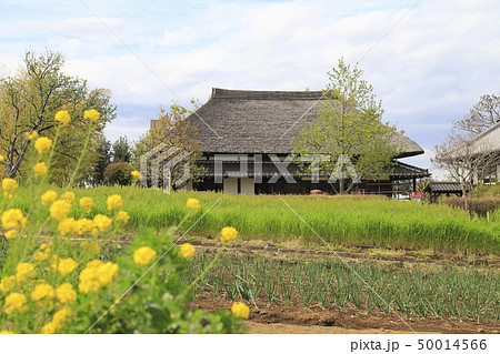 足立区都市農業公園の古民家　 50014566