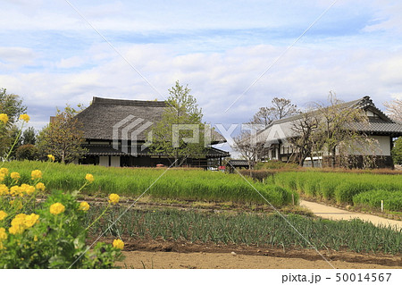 足立区都市農業公園の古民家　 50014567