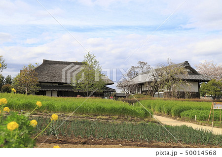 足立区都市農業公園の古民家　 50014568