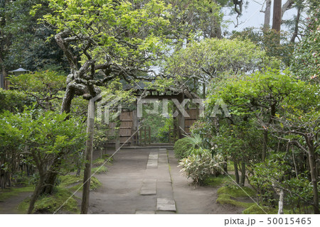 円覚寺塔頭 富陽庵(鎌倉市山ノ内) 円覚寺塔頭 富陽庵(鎌倉市山ノ内) 50015465