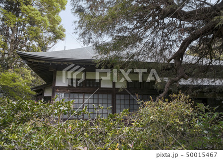 円覚寺塔頭 富陽庵(鎌倉市山ノ内) 円覚寺塔頭 富陽庵(鎌倉市山ノ内) 50015467