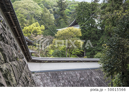 円覚寺塔頭 松嶺院の石垣と円覚寺山門(鎌倉市山ノ内) 円覚寺塔頭 松嶺院の石垣と円覚寺山門(鎌倉市山ノ内) 50015566