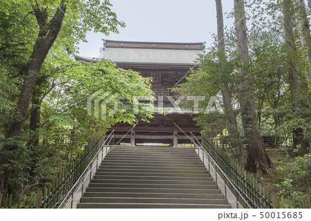 円覚寺山門（鎌倉市山ノ内） 50015685