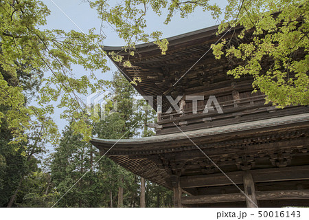 円覚寺山門（鎌倉市山ノ内） 50016143