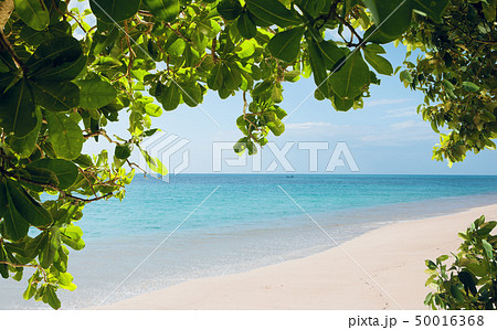 tropic view tropic view 50016368