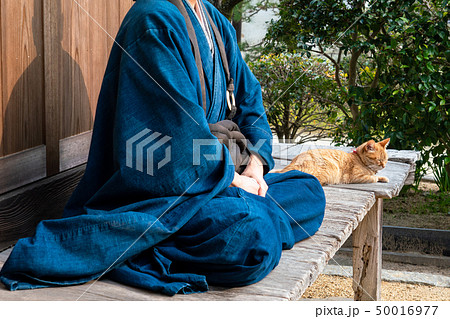 猫とお坊さん 50016977