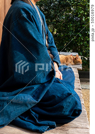猫とお坊さん 50016979