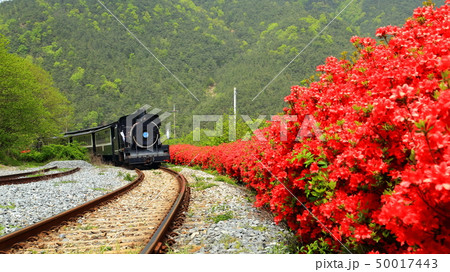 谷城 50017443