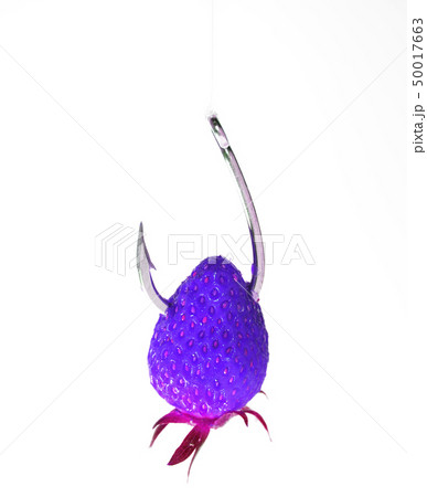 釣り針 イチゴ 罠 誘惑 甘い 甘い誘惑 コンセプト ユーモア 白バック ダイエット 食欲 釣り 釣り針 イチゴ 罠 誘惑 甘い 甘い誘惑 コンセプト ユーモア 白バック ダイエット 食欲 釣り 50017663