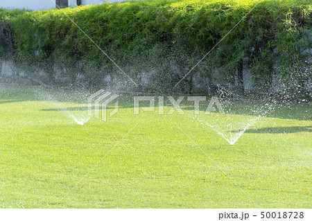 スプリンクラーと芝生 50018728