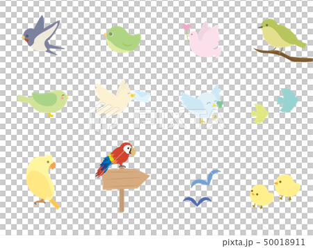 色々な鳥のイラスト 50018911