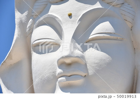 大船観音　鎌倉市 50019913