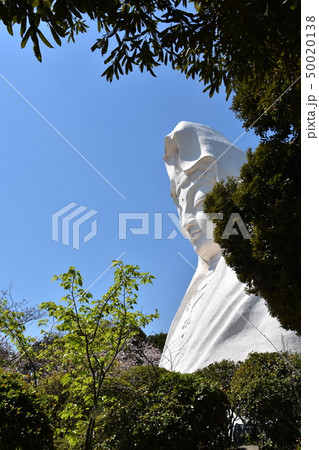 大船観音　鎌倉市 50020138