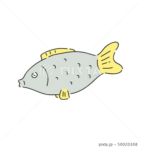 Fish drawing isolated on white background Fish drawing isolated on white background 50020308