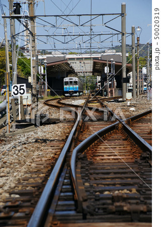 伊豆急行 50020319