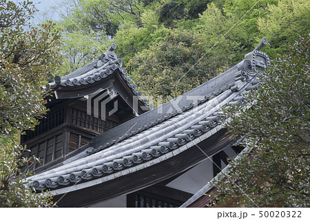 円覚寺庫裏（鎌倉市山ノ内） 50020322