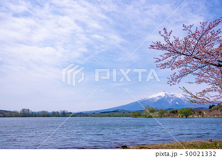 青森県 津軽 鶴の舞橋 日本一の木造三連太鼓橋 へら岬公園より 青森県 津軽 鶴の舞橋 日本一の木造三連太鼓橋 へら岬公園より 50021332