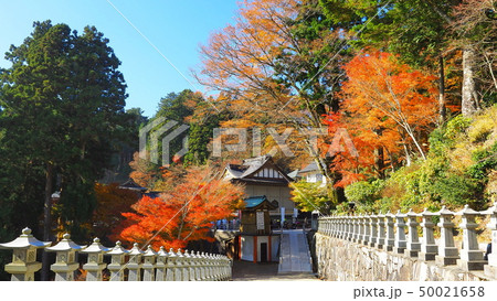 紅葉の雲辺寺参道1(修正) 紅葉の雲辺寺参道1(修正) 50021658
