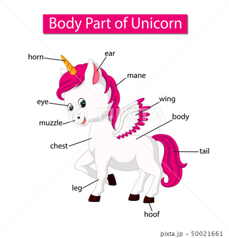 Diagram showing body part of unicorn Diagram showing body part of unicorn 50021661