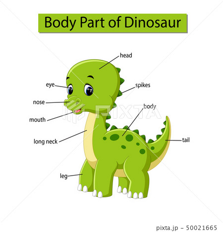 Diagram showing body part of dinosaur Diagram showing body part of dinosaur 50021665