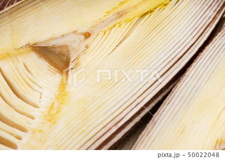 筍、たけのこ、タケノコ、旬、アップ 50022048