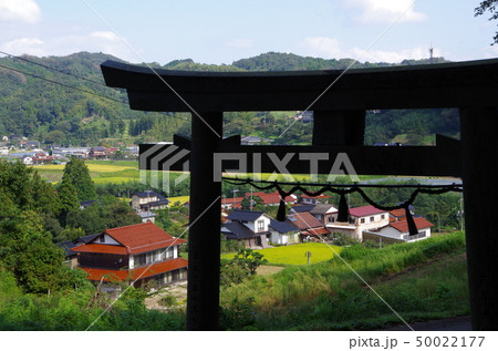 鳥居から望む農村 鳥居から望む農村 50022177