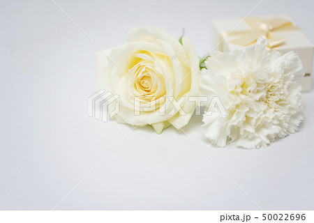 プレゼント　ギフト　白い花 50022696