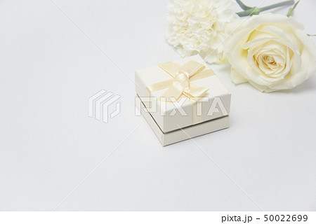 プレゼント　ギフト　白い花 50022699