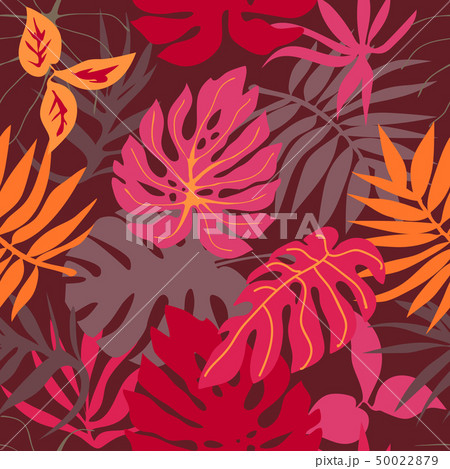 Red tropical forest.  50022879