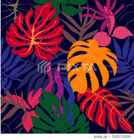 Red tropical forest.  50023006