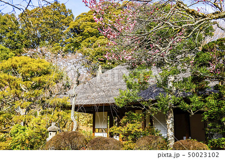 【東京都日野市】百草園 50023102