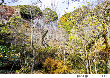 【東京都日野市】百草園 50023116