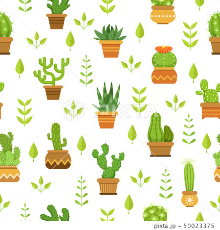 Desert plants with flowers. Cactus in pots. Vector seamless pattern 50023375