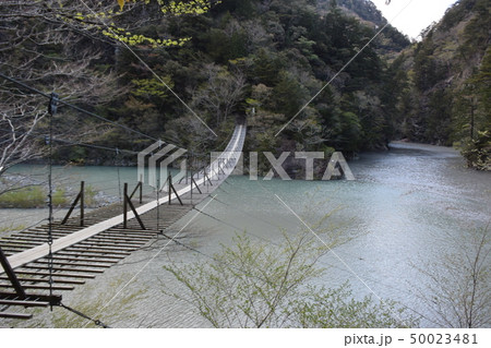 桟橋 桟橋 50023481