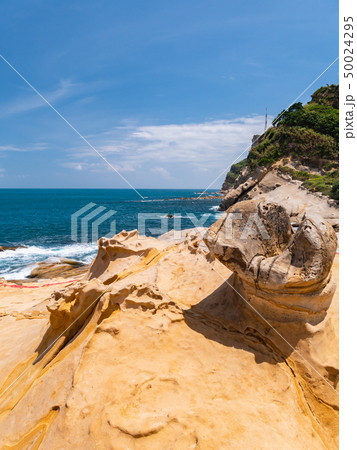 台湾 新北市 野柳地質公園 台湾 新北市 野柳地質公園 50024295