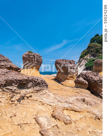 台湾 新北市 野柳地質公園 50024296